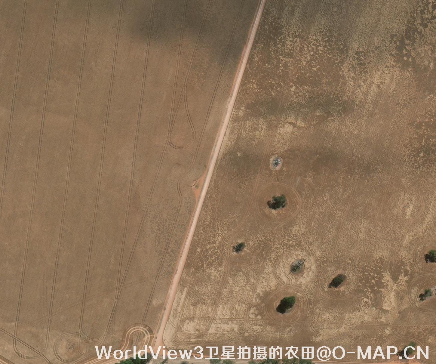 0.3米分辨率的农田WorldView3卫星图