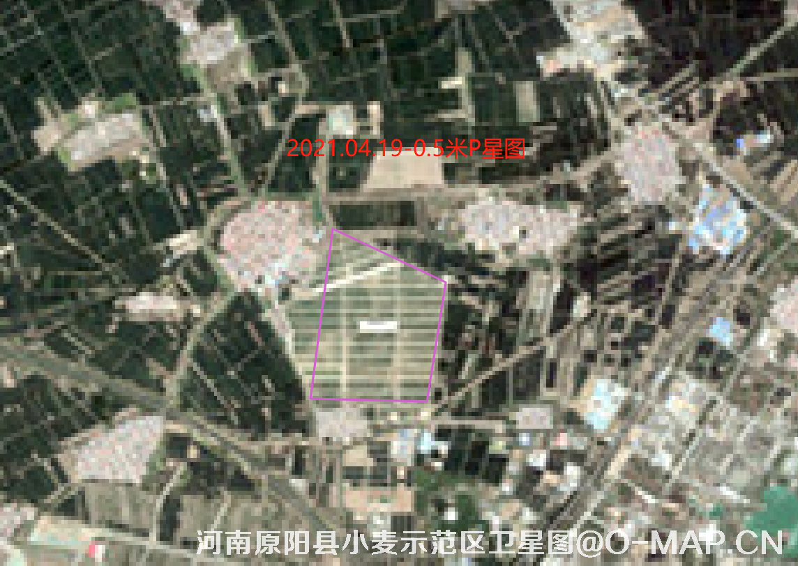 Pleiades卫星拍摄的河南省原阳县小麦示范区0.5米卫星图