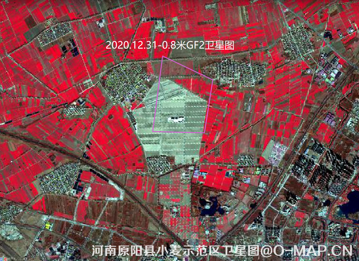 高分二号卫星拍摄的河南省原阳县小麦示范区0.8米卫星图