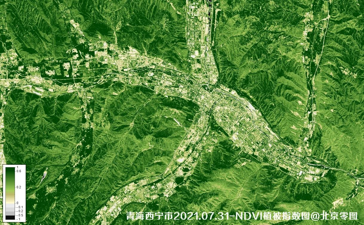 青海西宁市2021.07.31-NDVI植被指数图