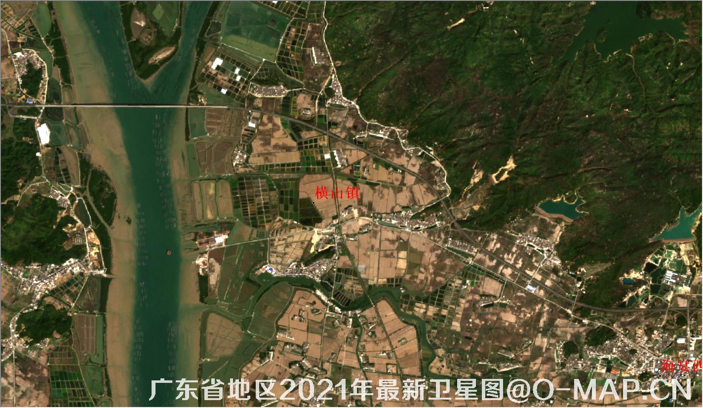 广东省大沟镇2021年最新卫星图