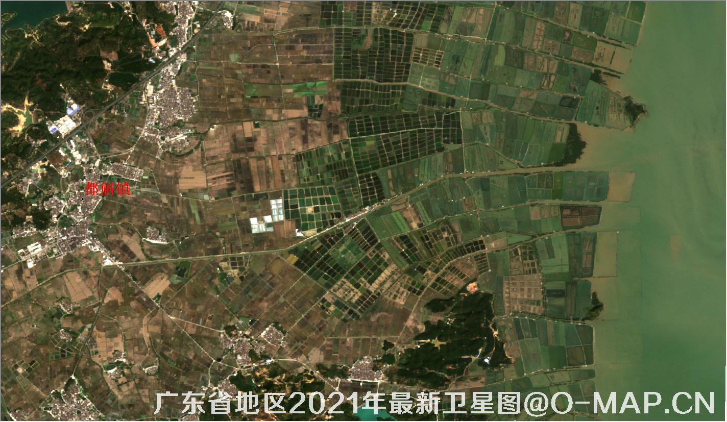 广东省广海镇2021年最新卫星图