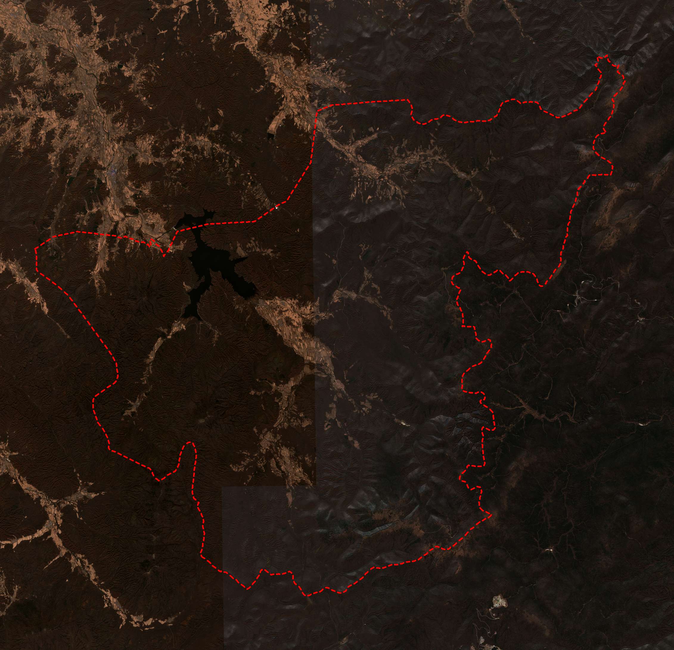 卫星遥感影像森林覆盖图@北京亿景图