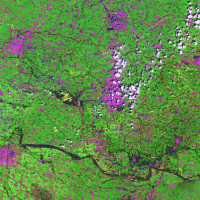 曹县2020年最新农业卫星影像图