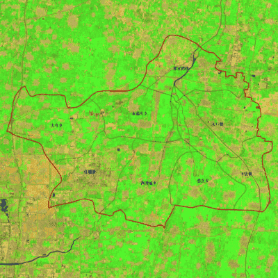 任县2020年最新农业卫星影像图