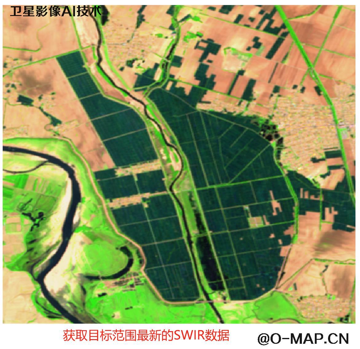 AI基于卫星影像提取水田地块分布图斑以及面积统计