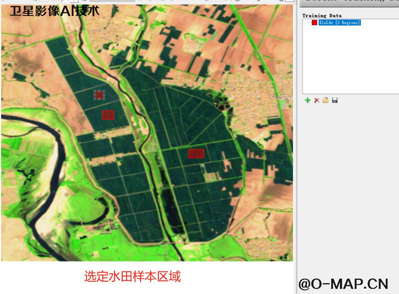 AI基于卫星影像提取水田地块分布图斑以及面积统计