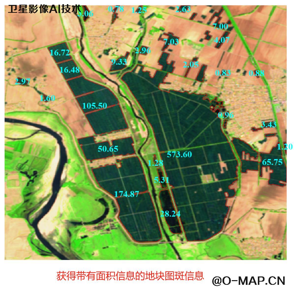 AI基于卫星影像提取水田地块分布图斑以及面积统计
