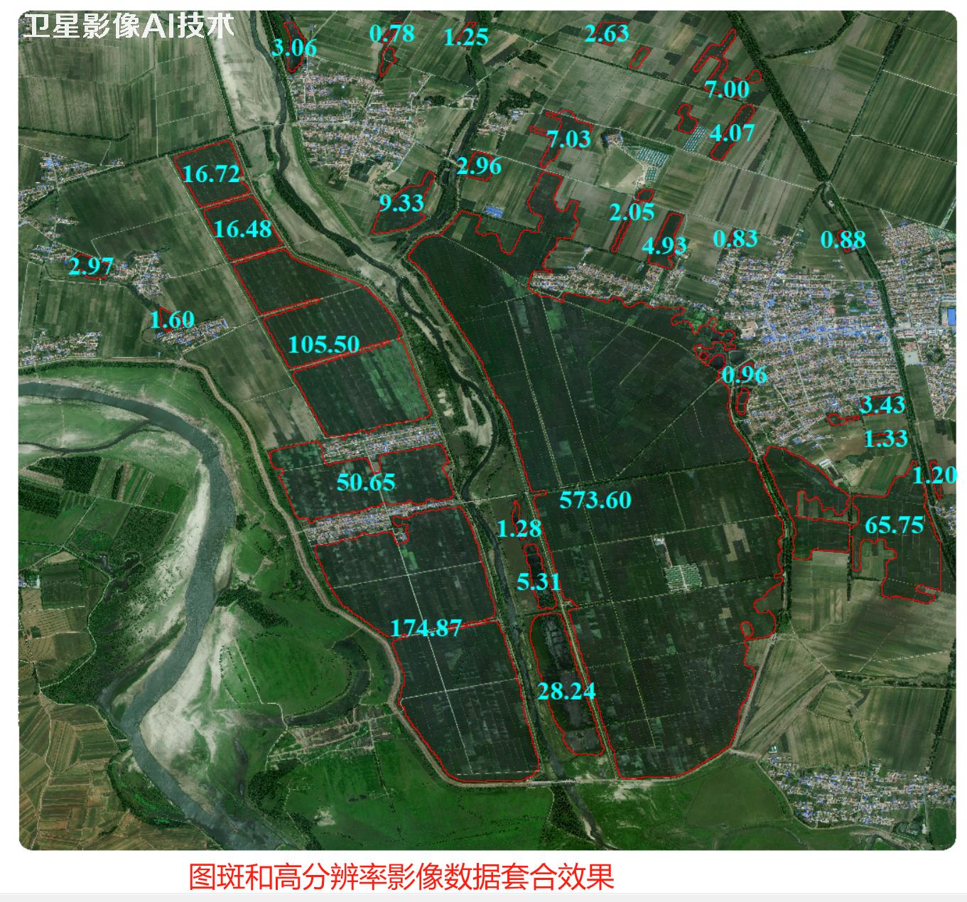 AI基于卫星影像提取水田地块分布图斑以及面积统计