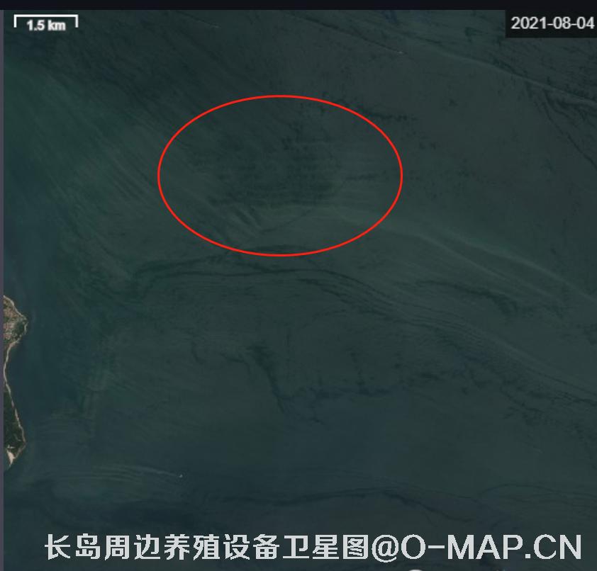 山东省烟台市长岛海域海产养殖阀架卫星影像图