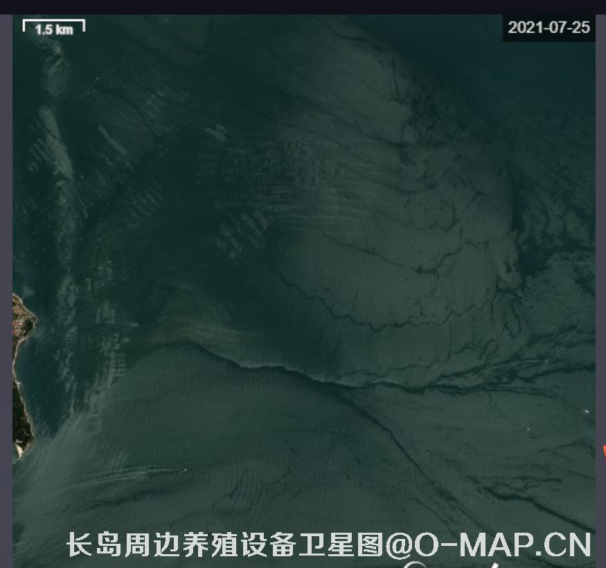 山东省烟台市长岛海域海产养殖阀架卫星影像图