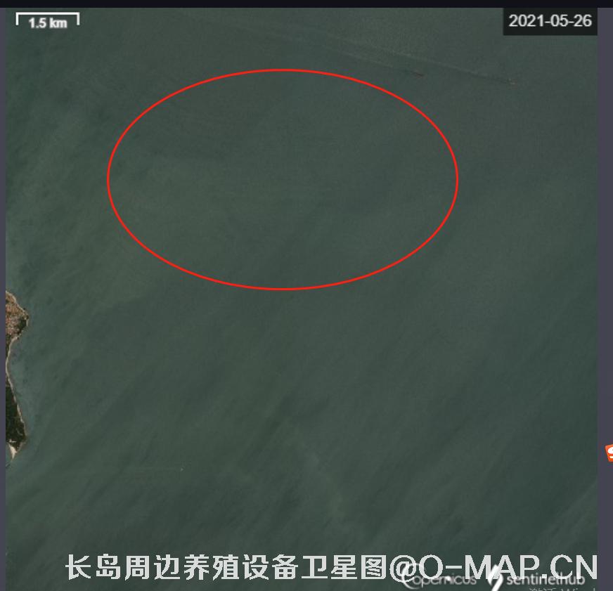 山东省烟台市长岛海域海产养殖阀架卫星影像图