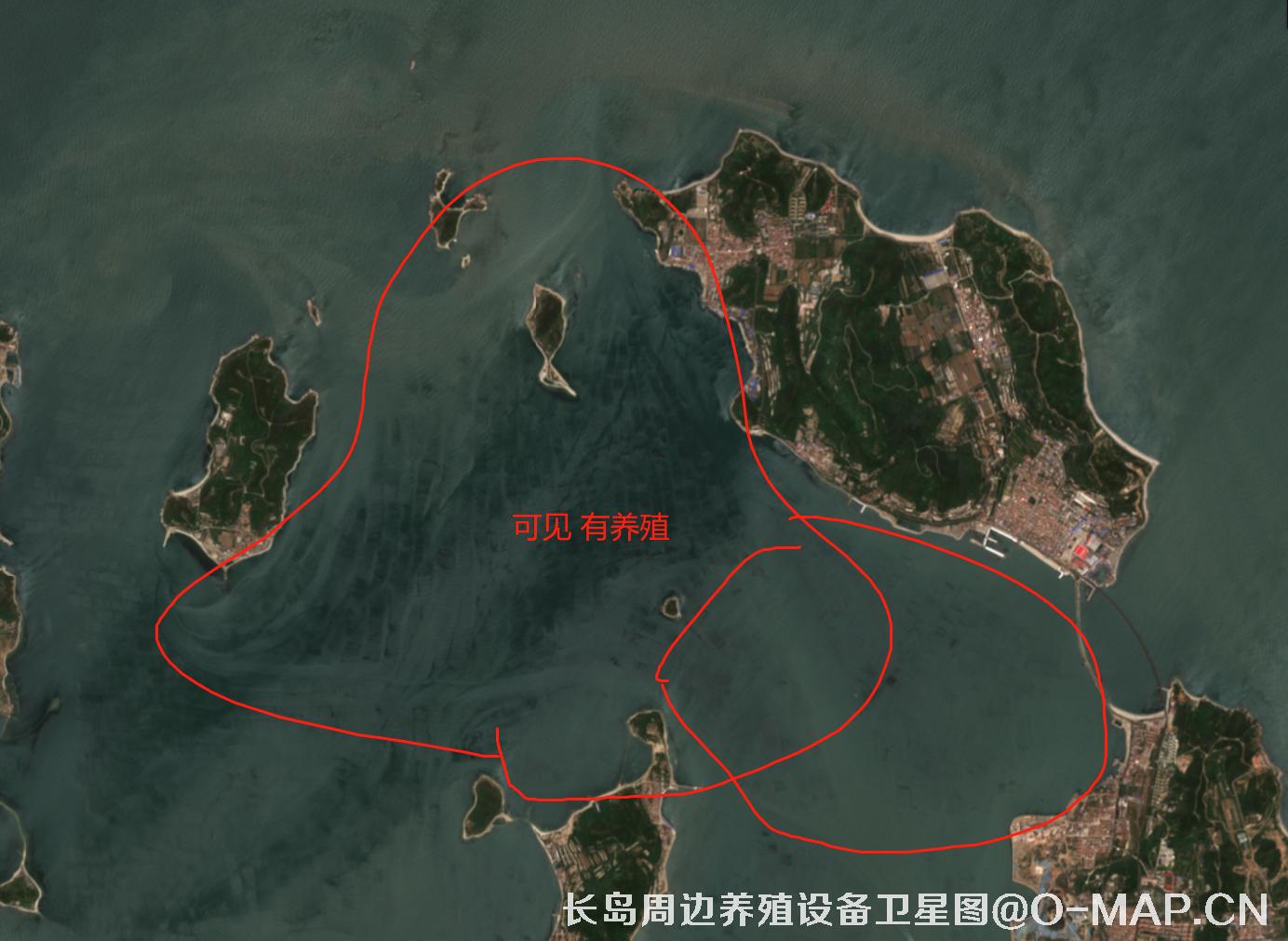山东省烟台市长岛海域海产养殖阀架卫星影像图