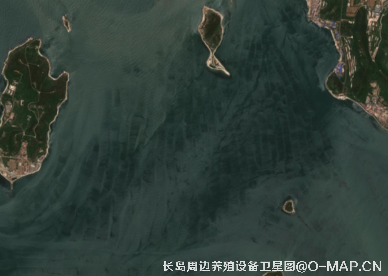 山东省烟台市长岛海域海产养殖阀架卫星影像图