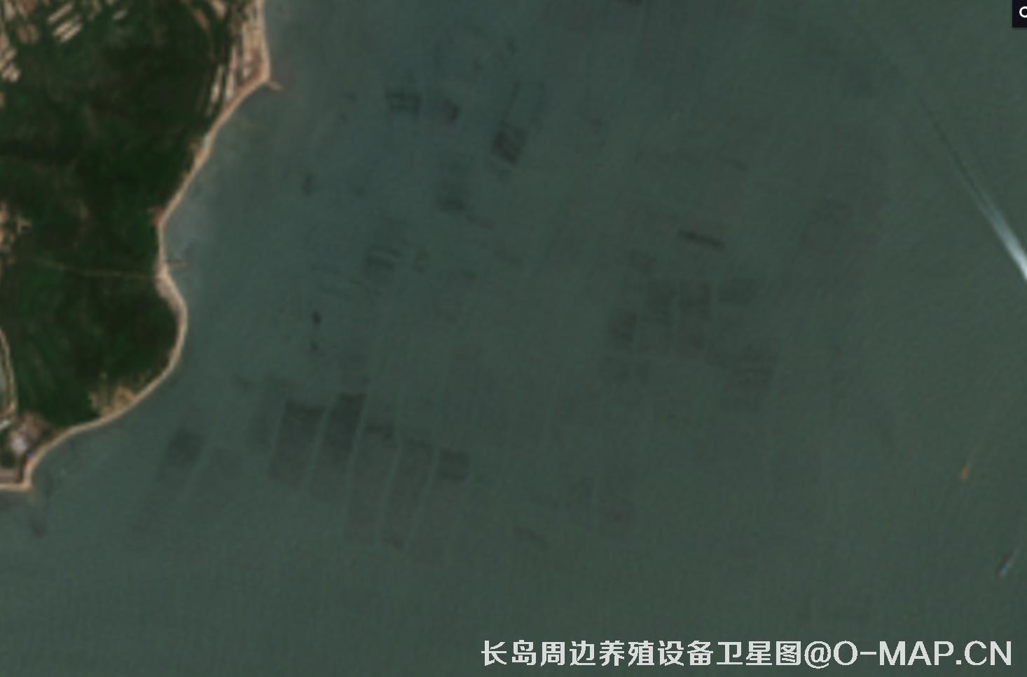 山东省烟台市长岛海域海产养殖阀架卫星影像图