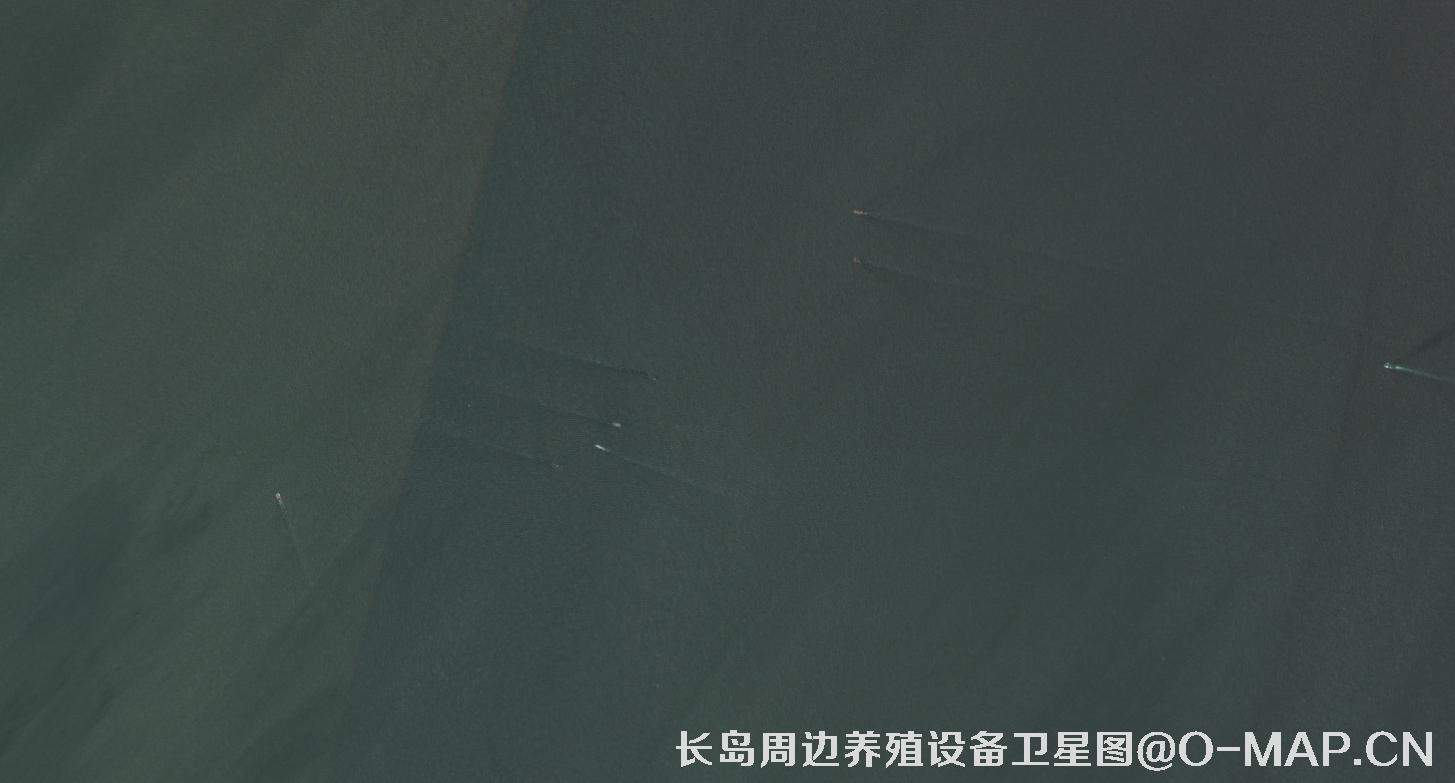 山东省烟台市长岛海域海产养殖阀架卫星影像图