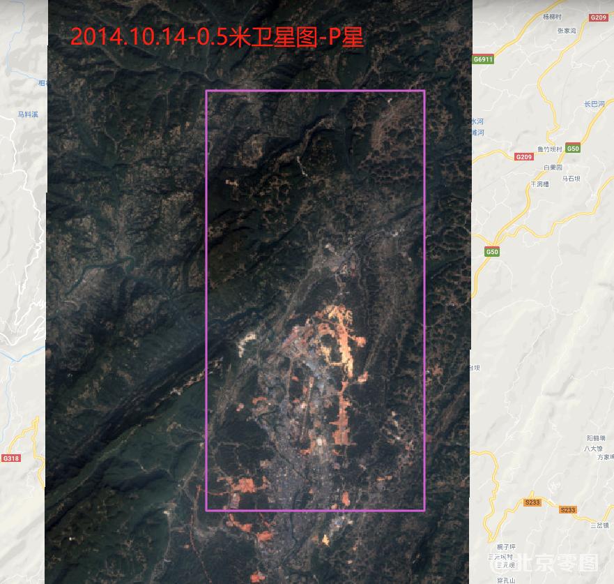 恩施市花绒寄甲样地2014年历史卫星图