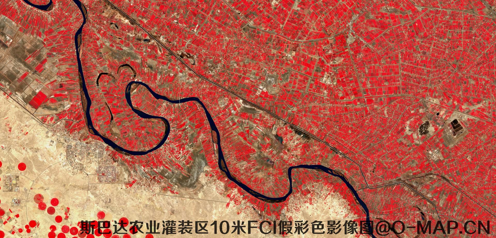 斯巴达市农业灌装区10米FCI假彩色影像图