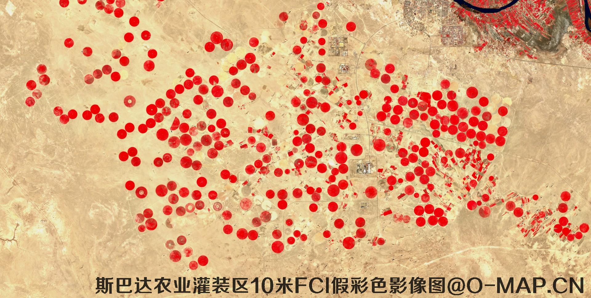 斯巴达市农业灌装区10米FCI假彩色影像图