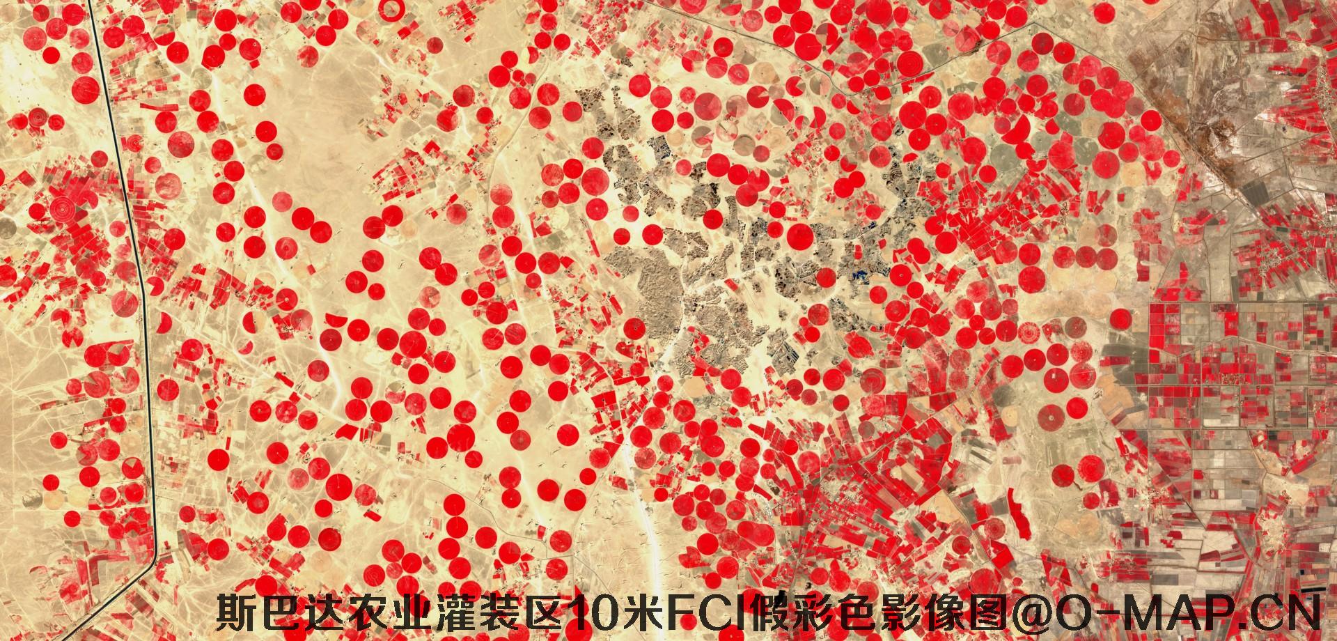 斯巴达市农业灌装区10米FCI假彩色影像图