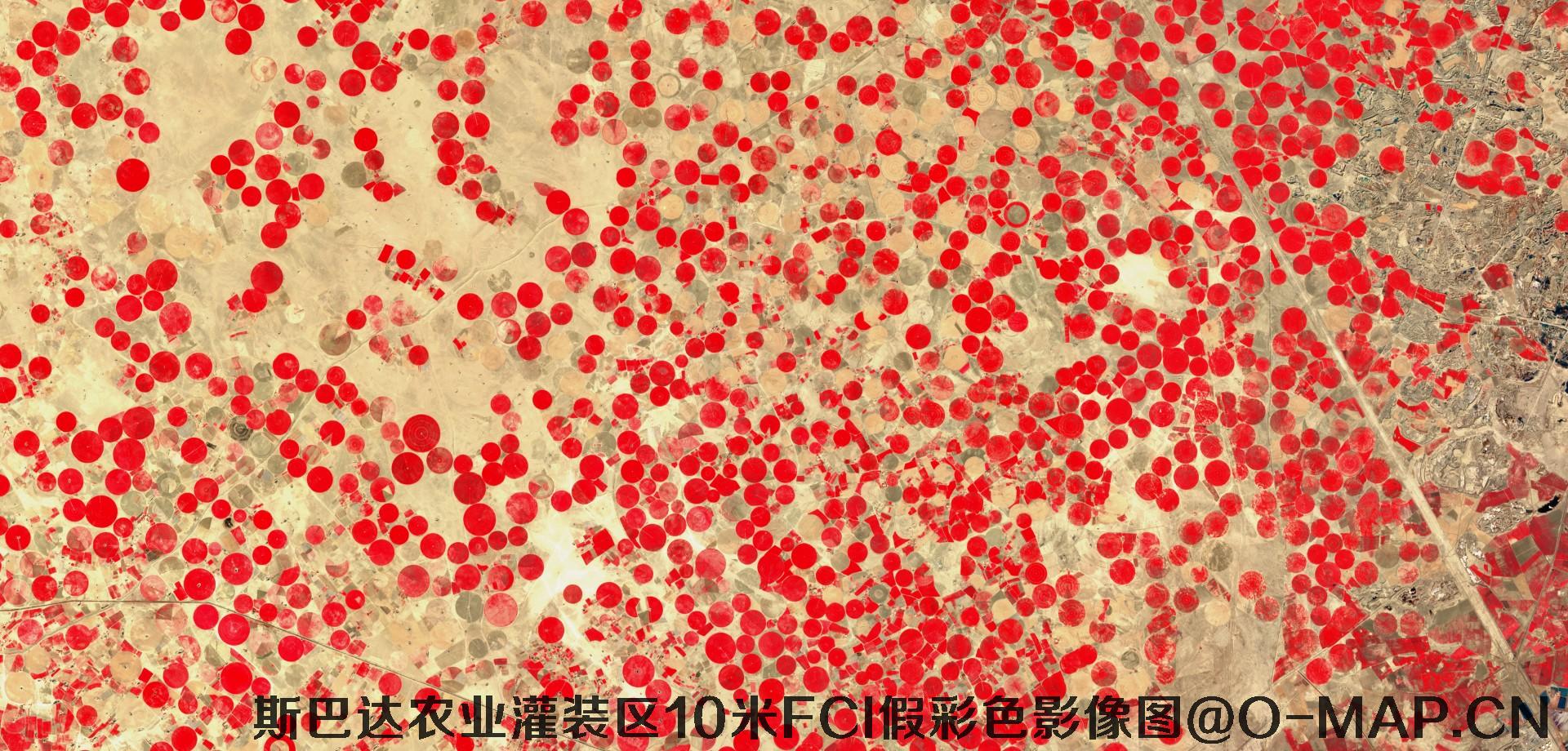 斯巴达市农业灌装区10米FCI假彩色影像图