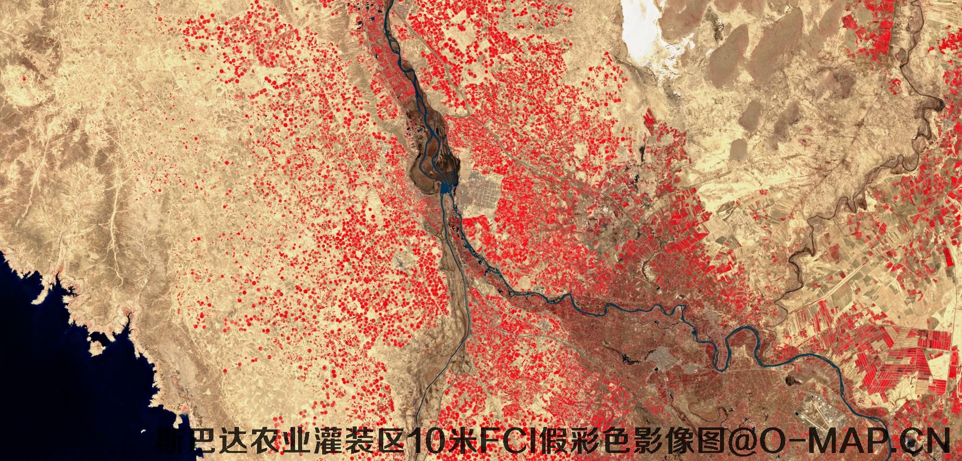斯巴达市农业灌装区10米FCI假彩色影像图