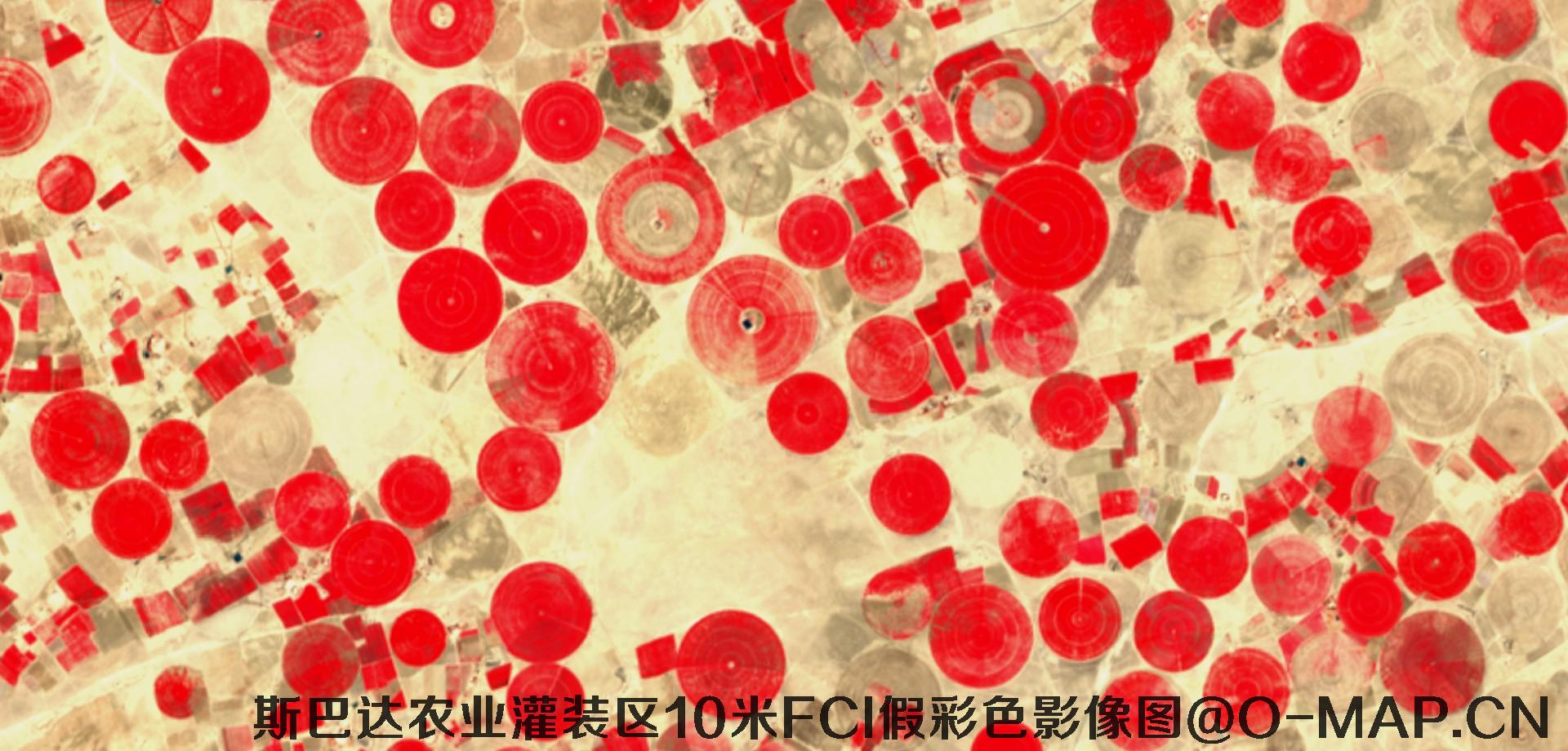 斯巴达市农业灌装区10米FCI假彩色影像图