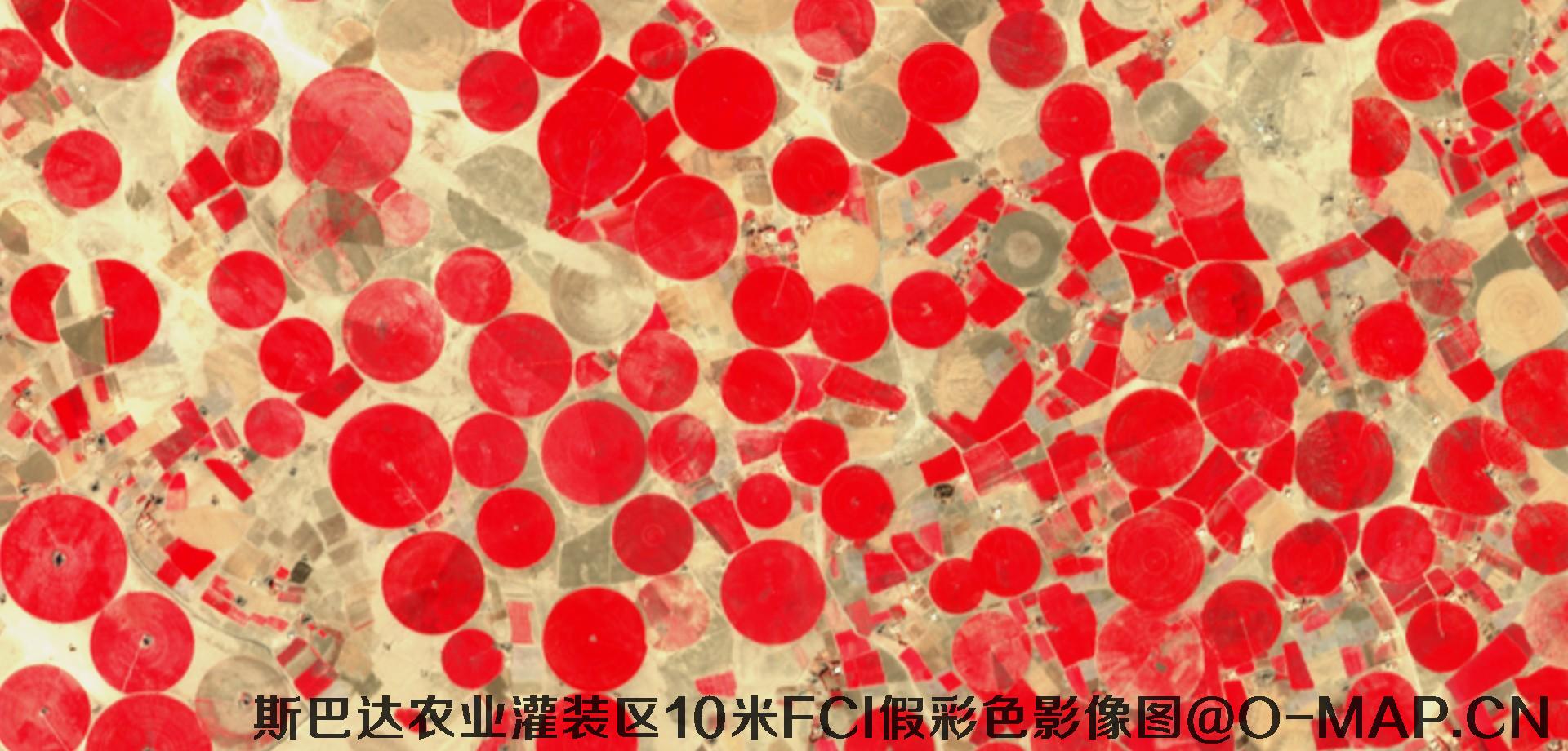 斯巴达市农业灌装区10米FCI假彩色影像图
