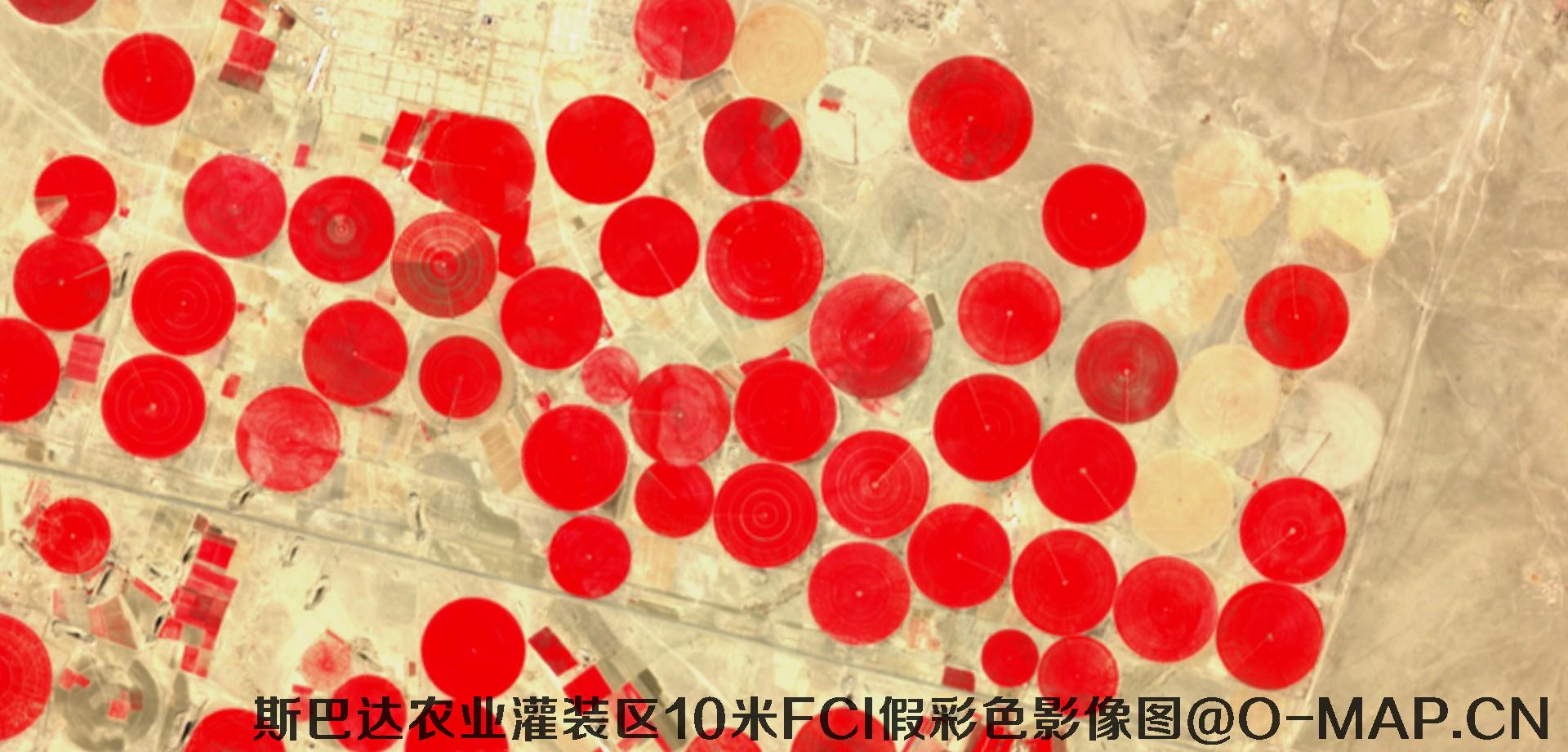 斯巴达市农业灌装区10米FCI假彩色影像图