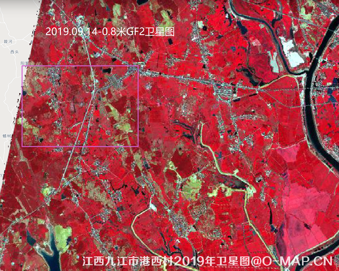 江西九江市港西村2019年历史卫星图