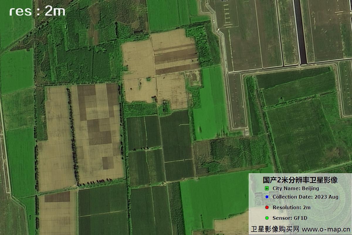 GF1D卫星2023年8月份拍摄的北京大兴机场影像图