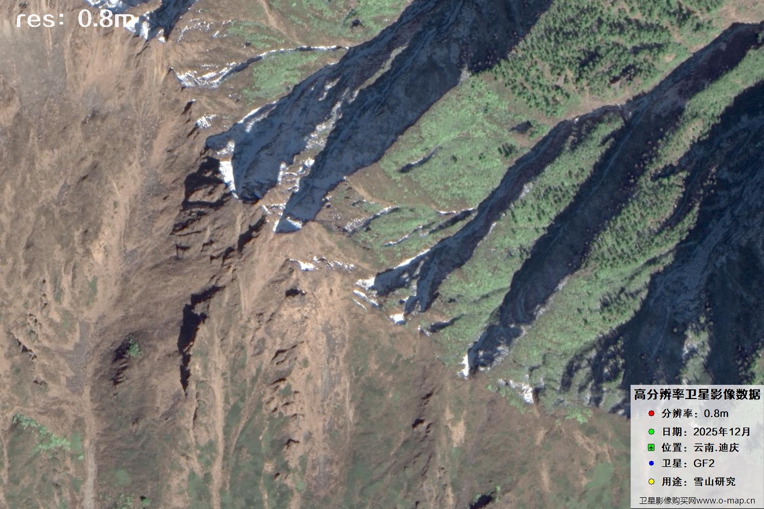 高分二号2025年拍摄的迪庆雪山里的树林