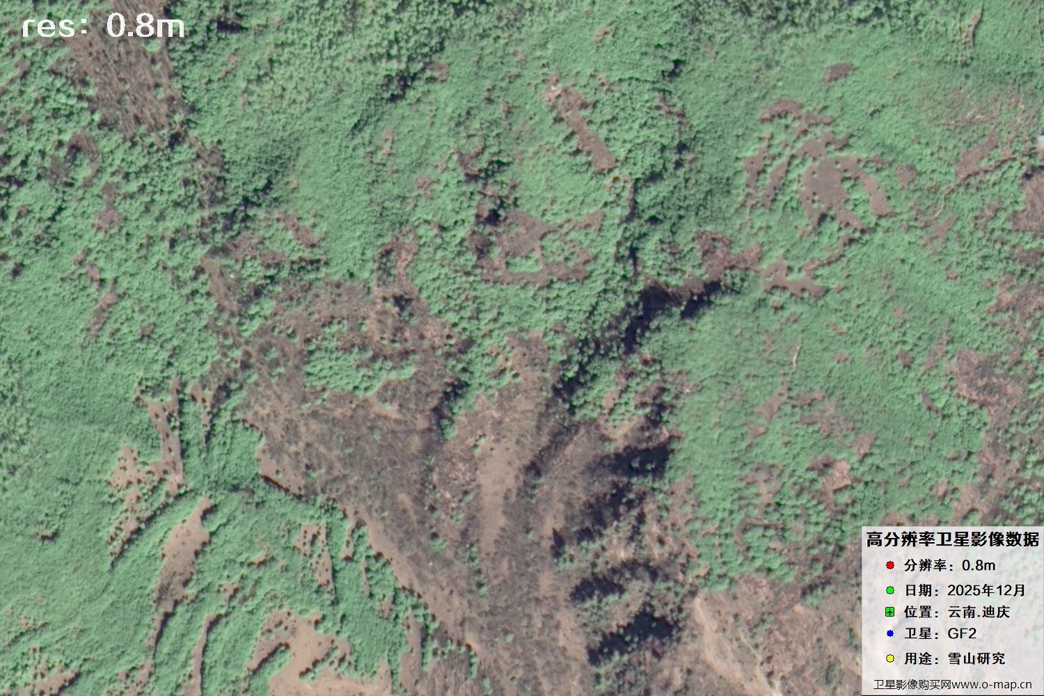 高分二号2025年拍摄的迪庆雪山里的树林