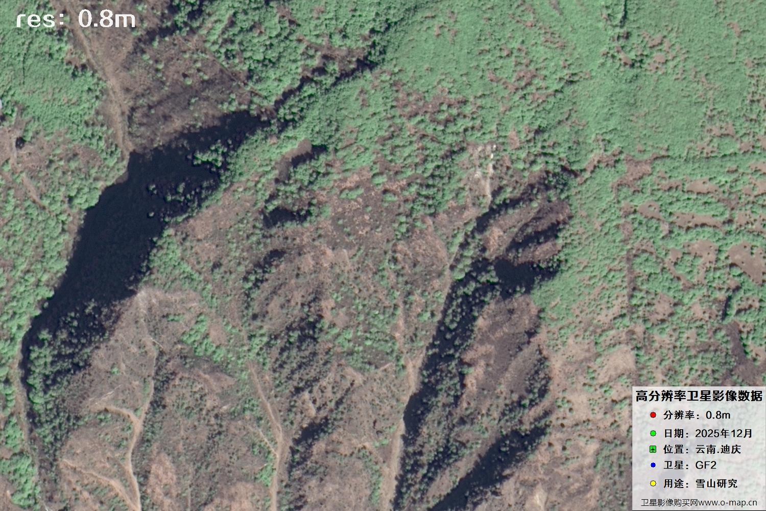 高分二号2025年拍摄的迪庆雪山里的树林