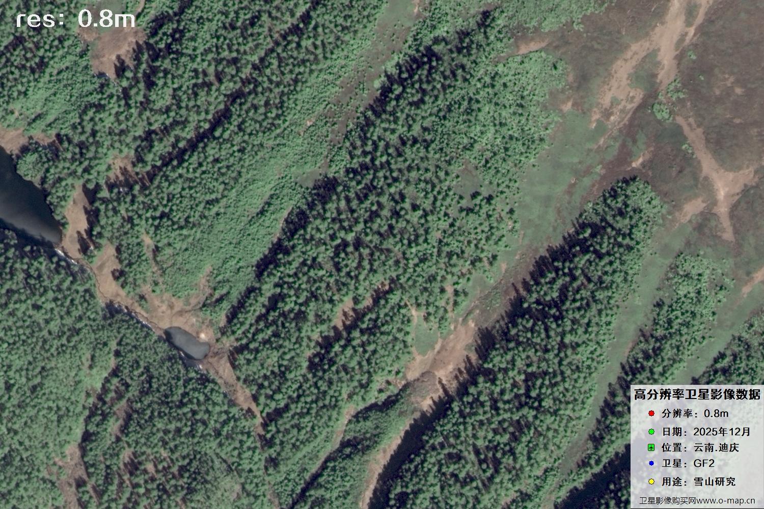 高分二号2025年拍摄的迪庆雪山里的树林