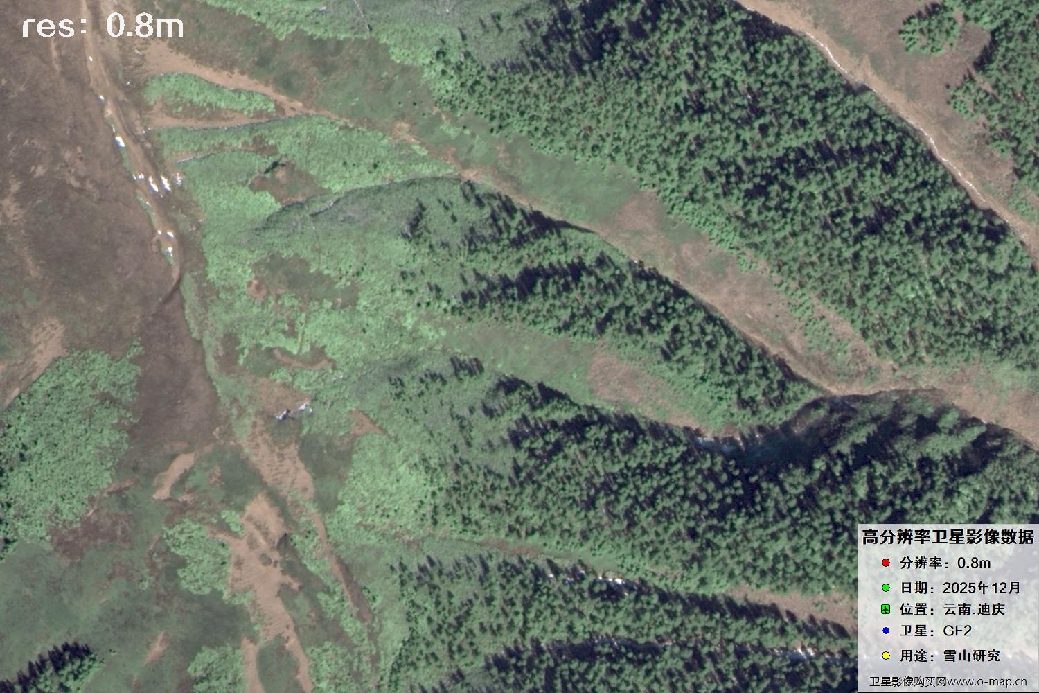 高分二号2025年拍摄的迪庆雪山里的树林