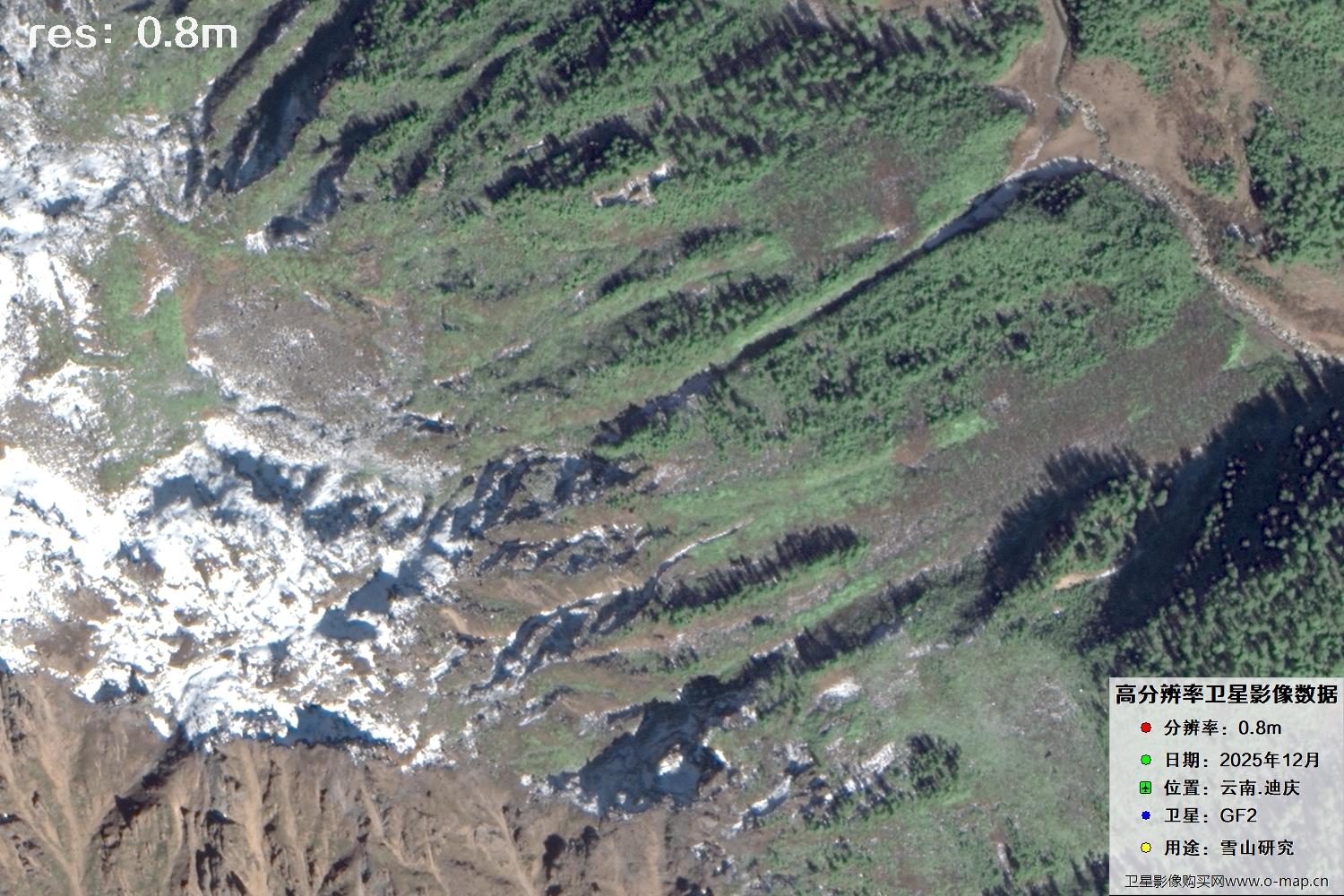 高分二号2025年拍摄的迪庆雪山里的树林