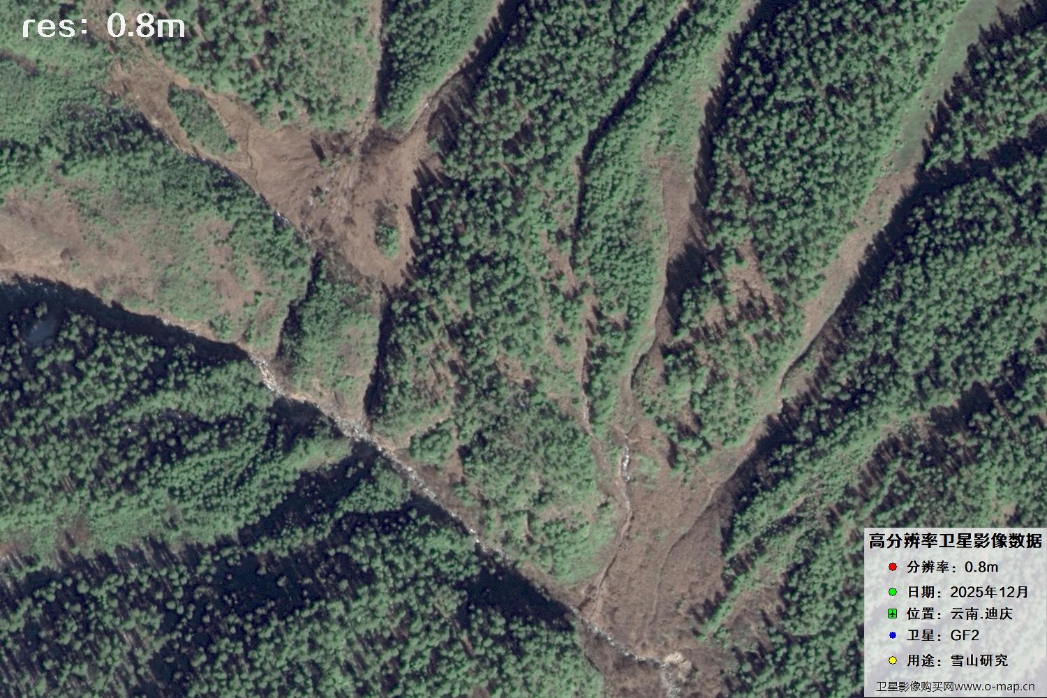 高分二号2025年拍摄的迪庆雪山里的树林