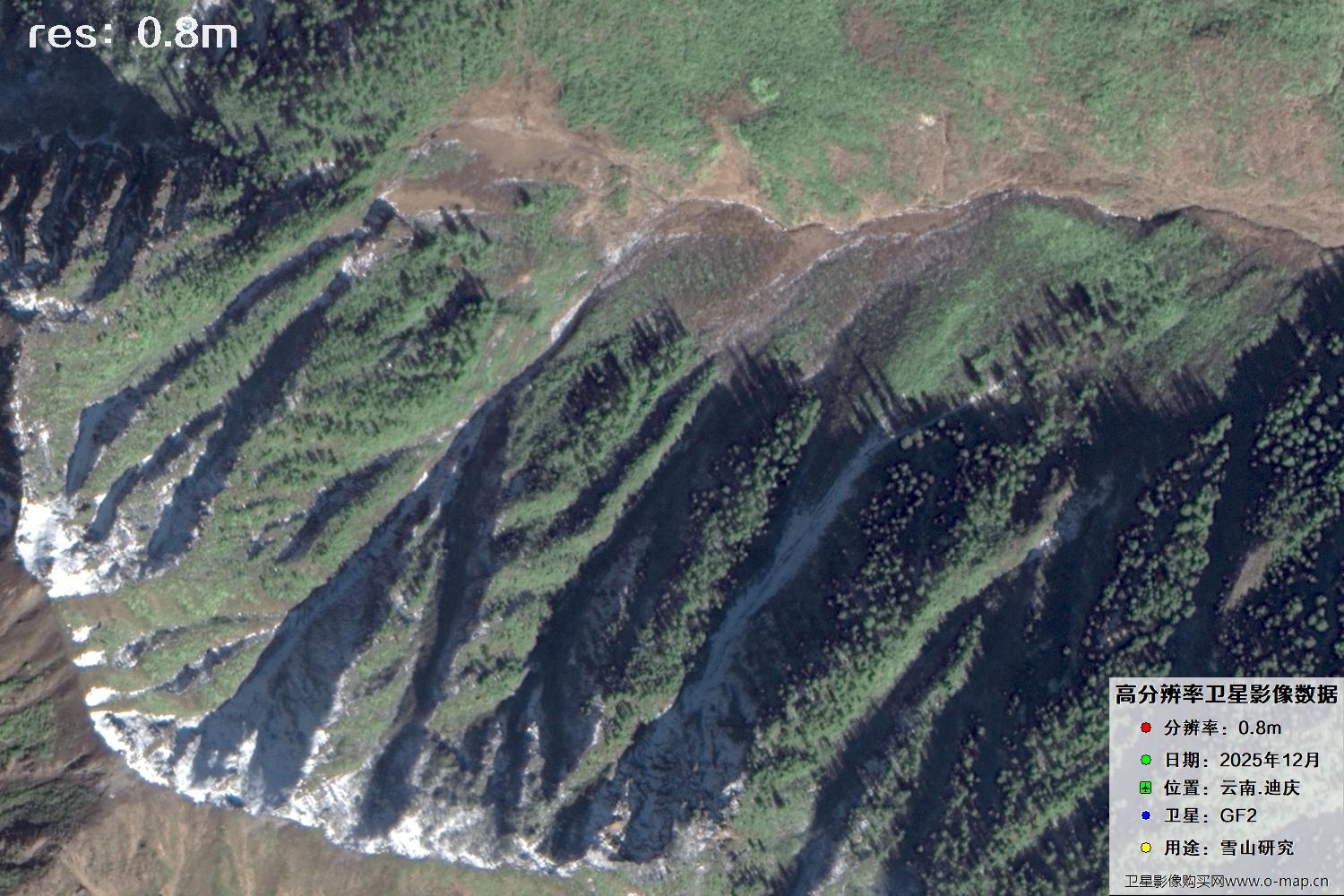 高分二号2025年拍摄的迪庆雪山里的树林