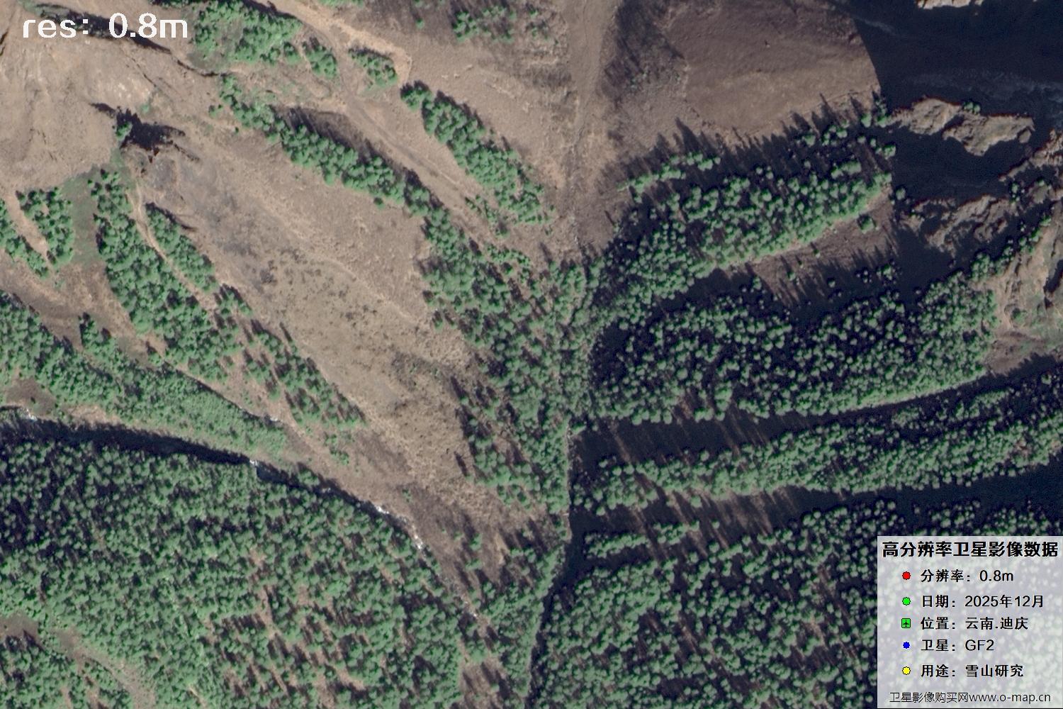 高分二号2025年拍摄的迪庆雪山里的树林