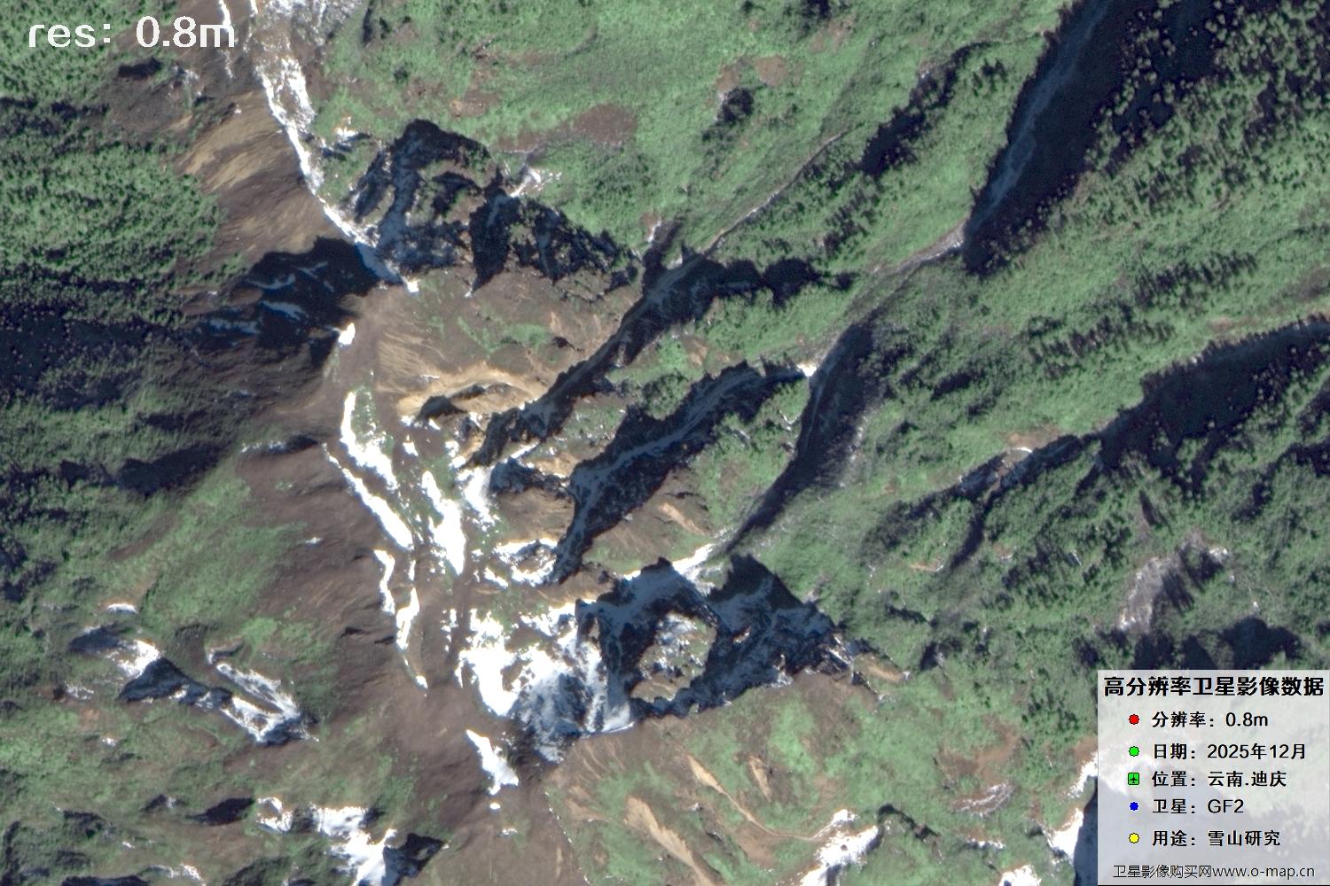 高分二号2025年拍摄的迪庆雪山里的树林