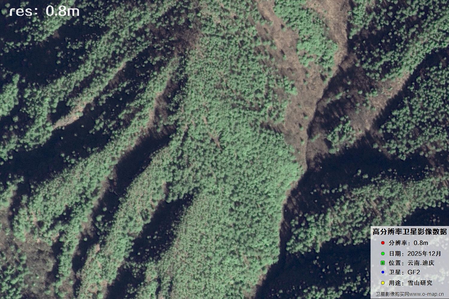 高分二号2025年拍摄的迪庆雪山里的树林