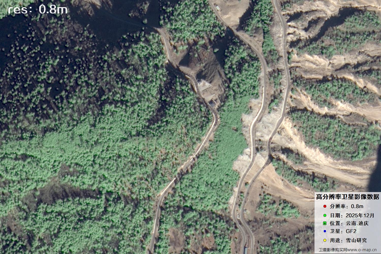 高分二号2025年拍摄的迪庆雪山里的树林