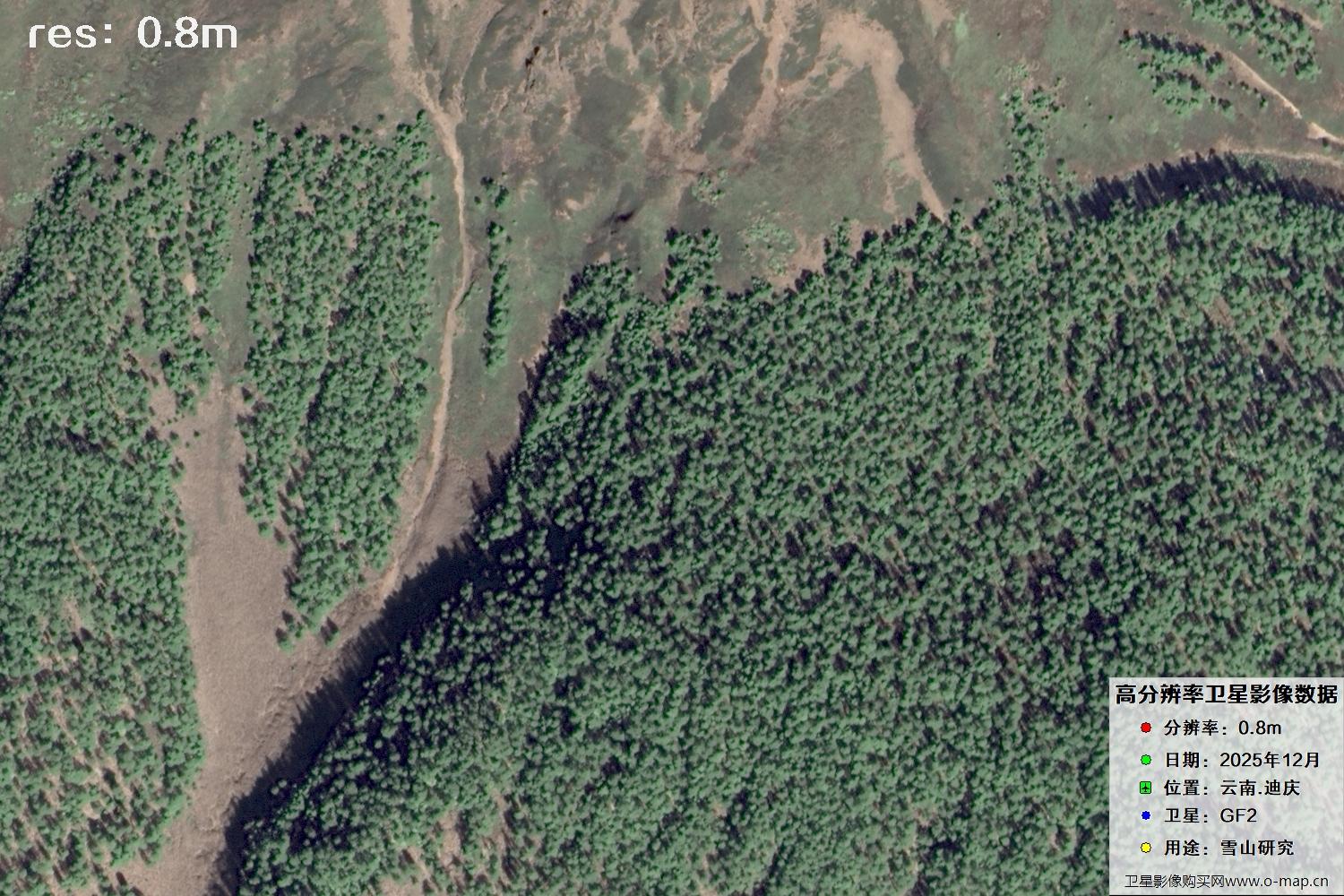 高分二号2025年拍摄的迪庆雪山里的树林