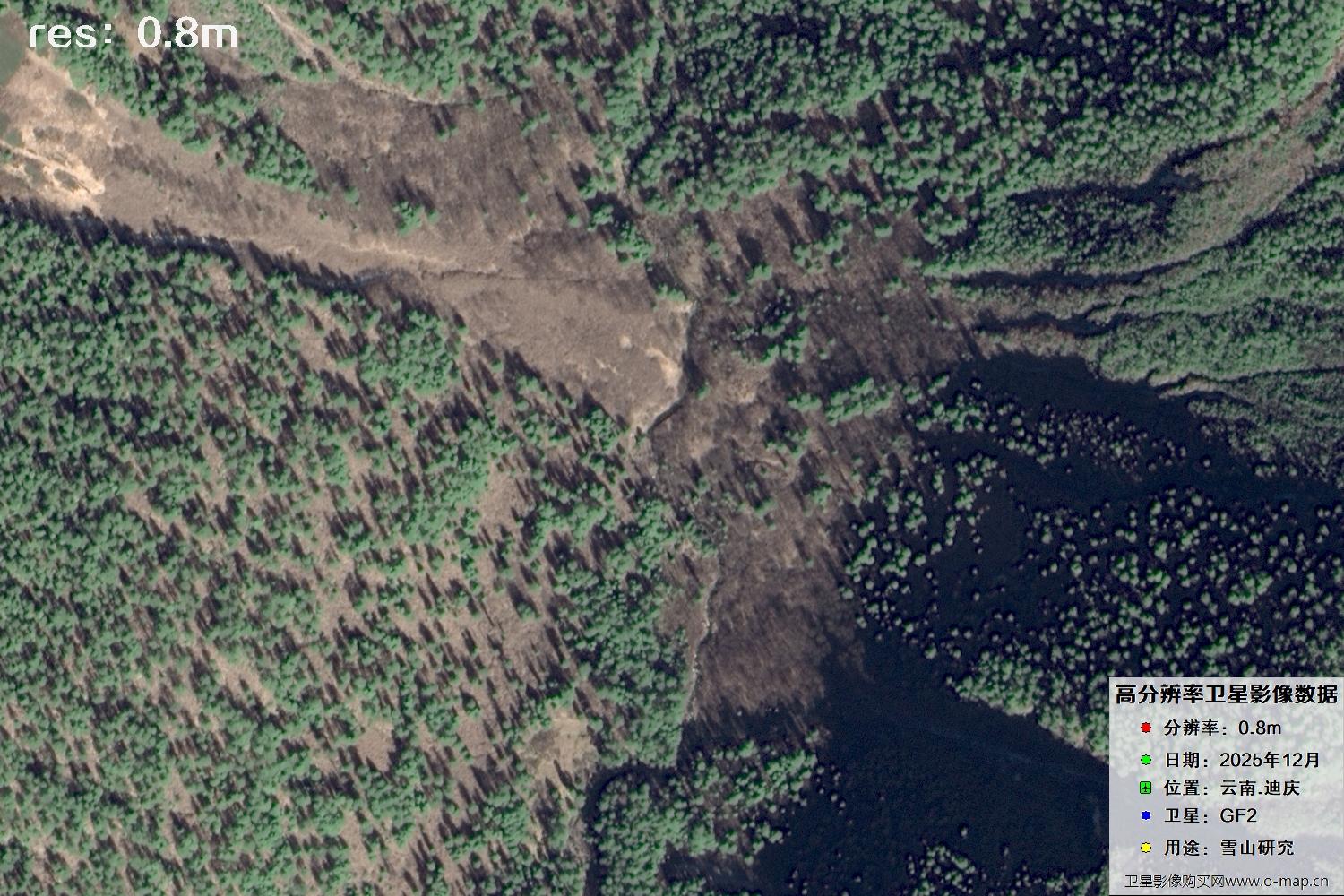 高分二号2025年拍摄的迪庆雪山里的树林