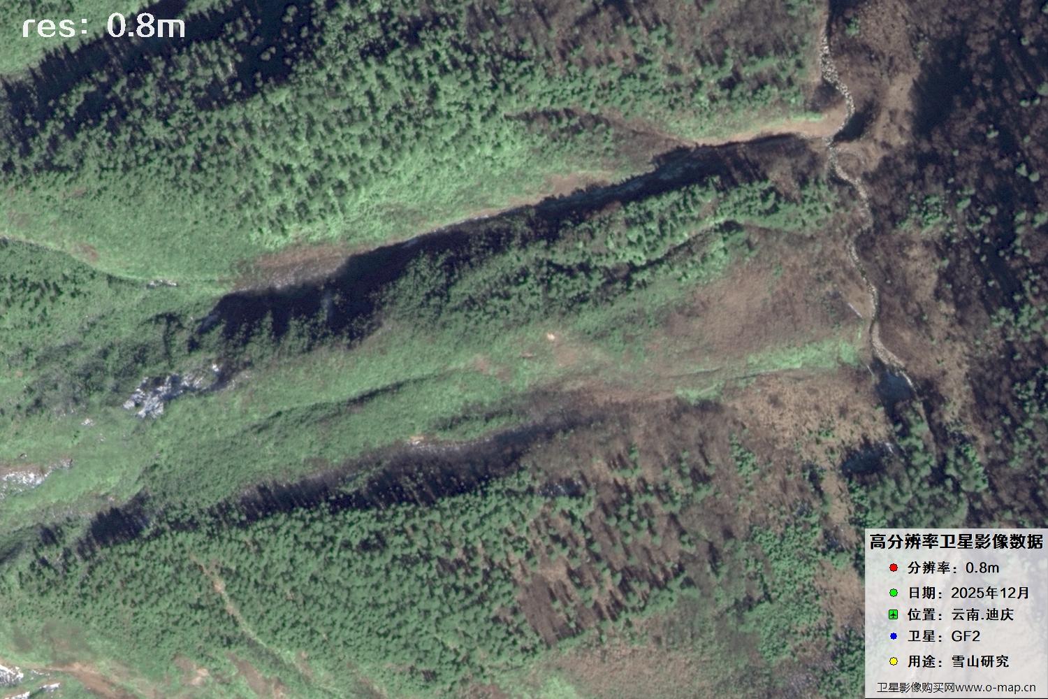 高分二号2025年拍摄的迪庆雪山里的树林