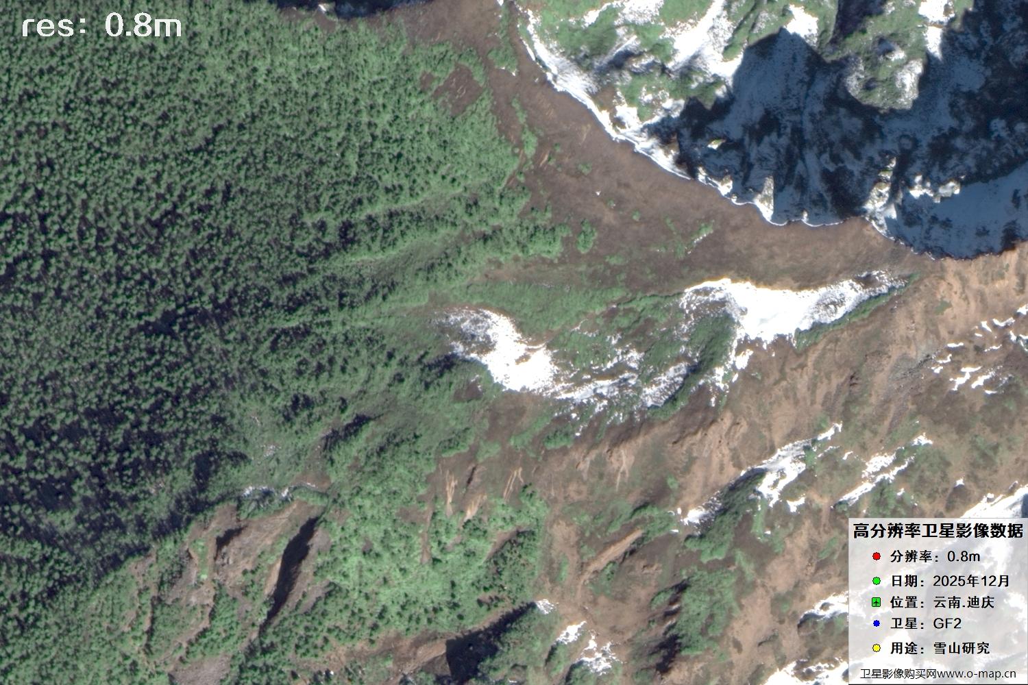 高分二号2025年拍摄的迪庆雪山里的树林