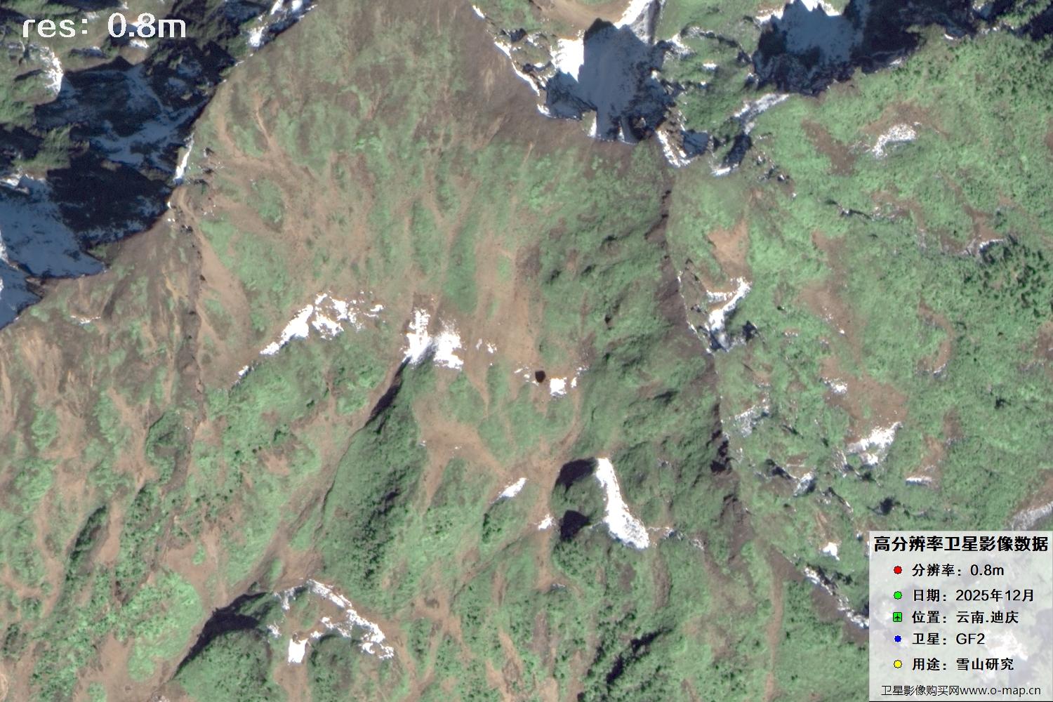 高分二号2025年拍摄的迪庆雪山里的树林