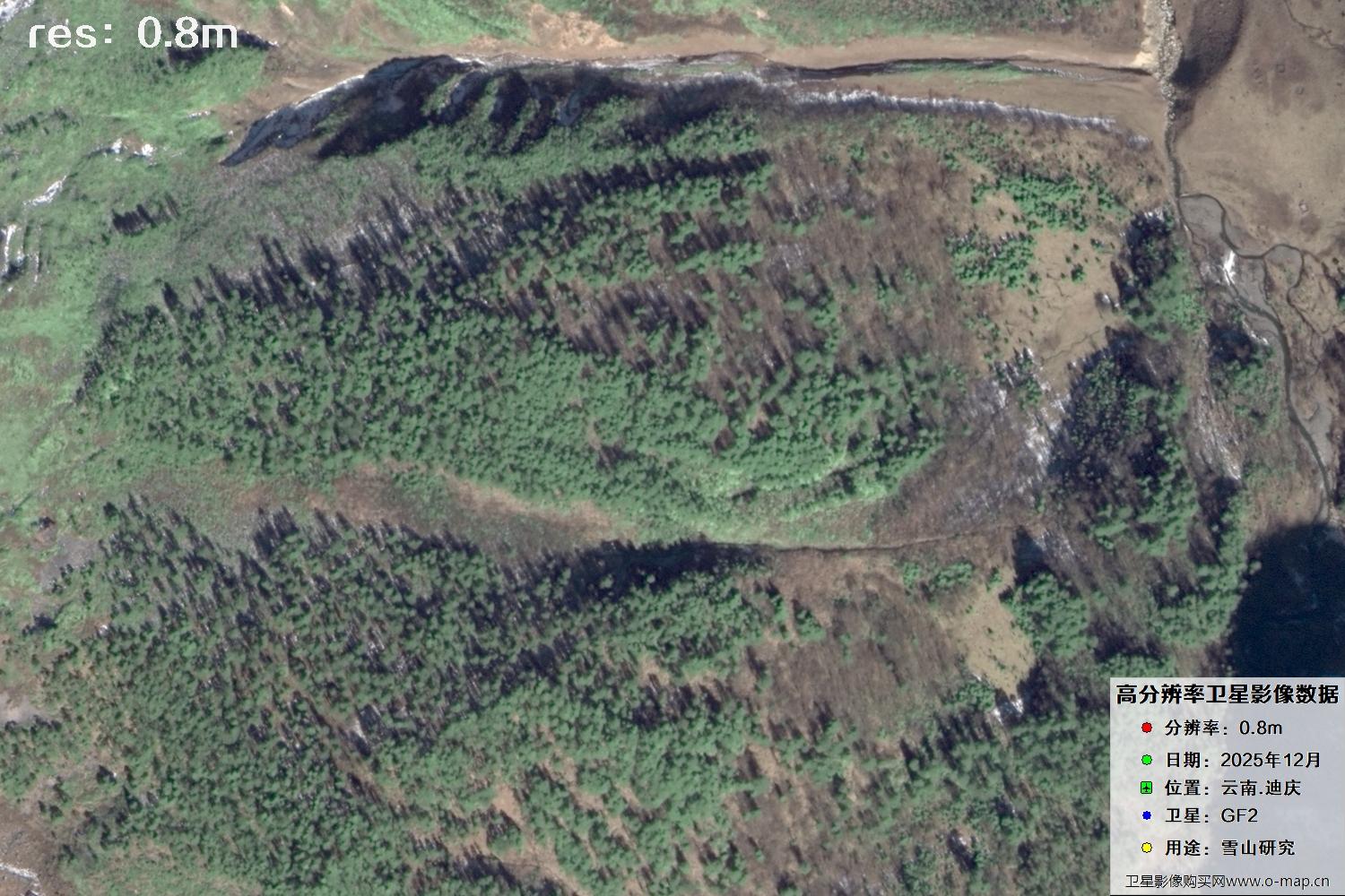 高分二号2025年拍摄的迪庆雪山里的树林