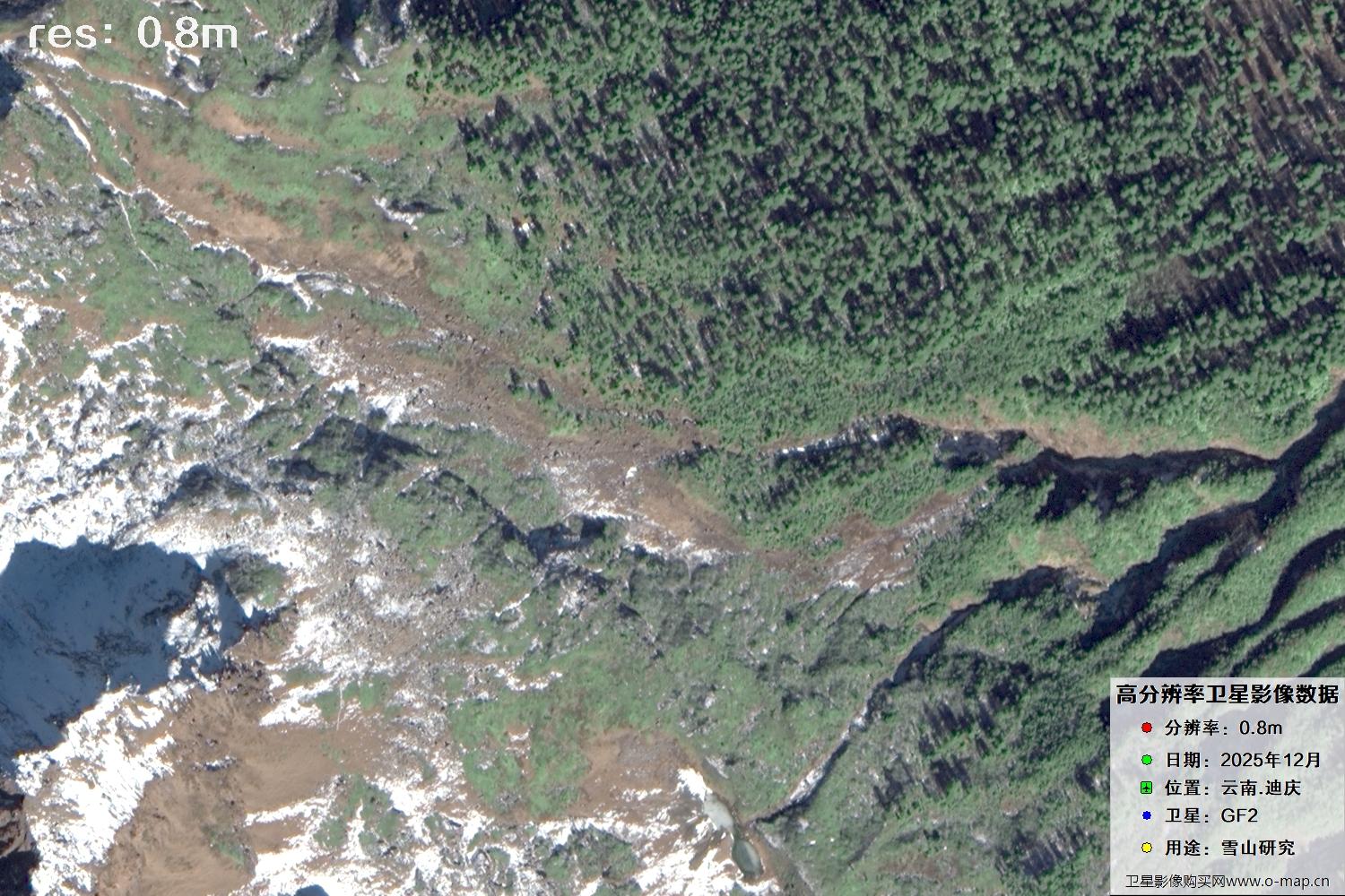 高分二号2025年拍摄的迪庆雪山里的树林